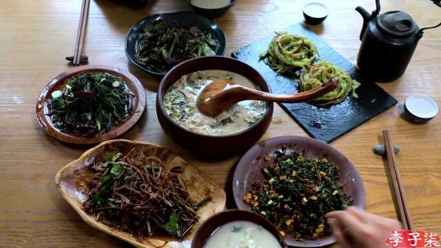 If You Miss the Best Days to Pick Wild Herbs, You'll Miss the Entire ...