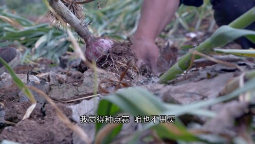 12.河南安阳 筲灌肠_12