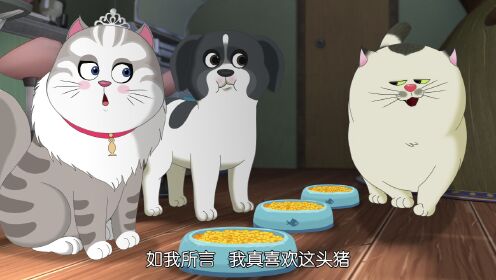 EP12: Pet Hotel