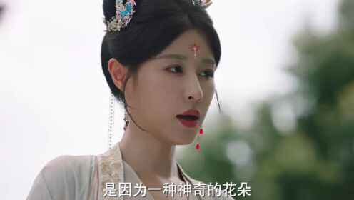 进阶的王妃（泰语版）_05