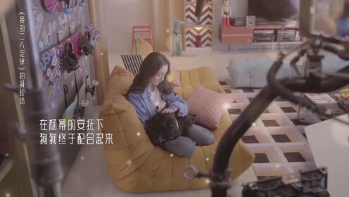 เบื้องหลัง: หยางมี่ปลอบเจ้าหมาอย่างอ่อนโยนหน้าฉากถ่ายทำ | กฎล็อกลิขิตรัก