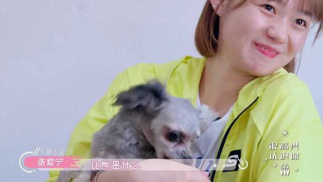 段奥娟再见到从小养的比熊丑丑,小狗扑怀太可爱啦【横冲直撞20岁第二季:很高兴认识你】Clare Duan Aojuan met her ...