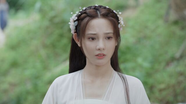 EP20: Romance of a Twin Flower - - China - TV - Romance - Traditional ...