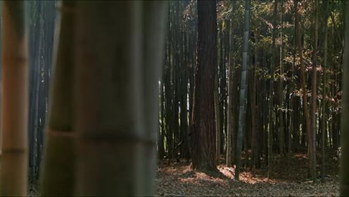EP18: Un sueño fugaz