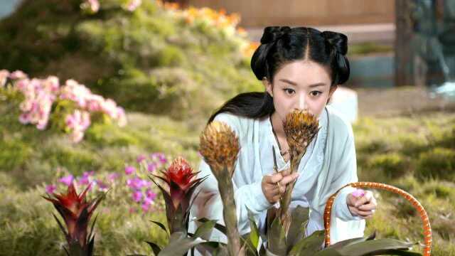 EP12: The Journey of Flower - Free - China - TV - Fantasy EP12: The Journey of Flower - Free - China - TV - Fantasy