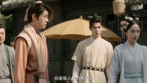 大宋有奇案_11