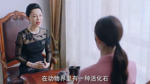 EP11: วิวาห์รักกลางเพลิงแค้น