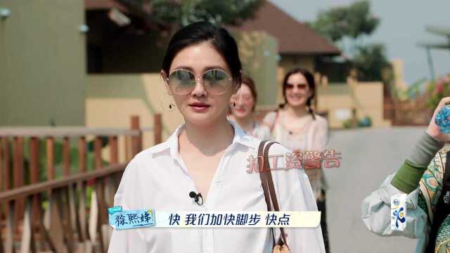 EP5: Barbie Hsu (Da S) acted as fried chicken queen to set a stall!Dee ...