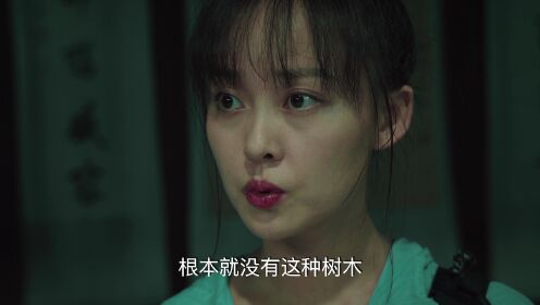 迷雾之境_07