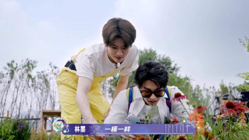 【花絮】INTO1花圃旱地拔葱式找线索
