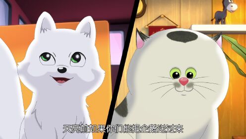 EP18: Pet Hotel