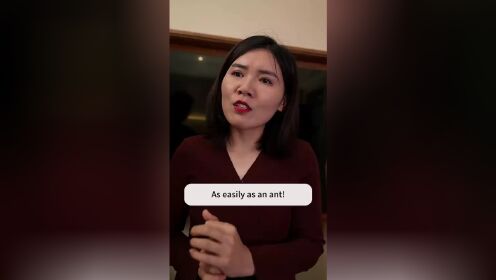 벼락 결혼 후 비밀 갑부의 최애로 됨 (영어편)_10회
