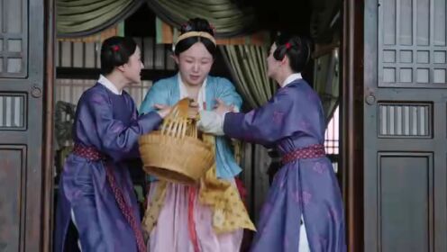 EP12: Lan Khuê Hỉ Sự