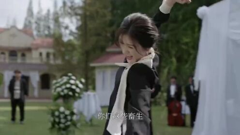 《华灯起》即将开播 叶祖新徐娇携手找真相